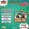 Pre Order Quartet Seri Baru Muslim Heroes (Permainan Edukasi) - Gambar 5